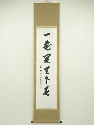 知恩院　岸信宏（量誉）筆　「一花開天下春」一行書　肉筆紙本掛軸（保護箱）